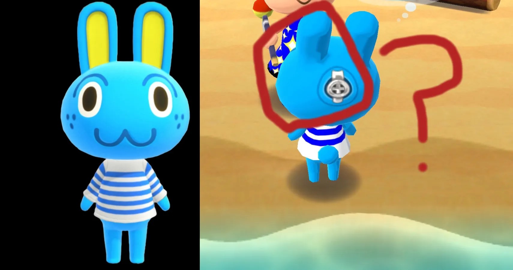 The Mystery of Hopkins In Animal Crossing New Horizons