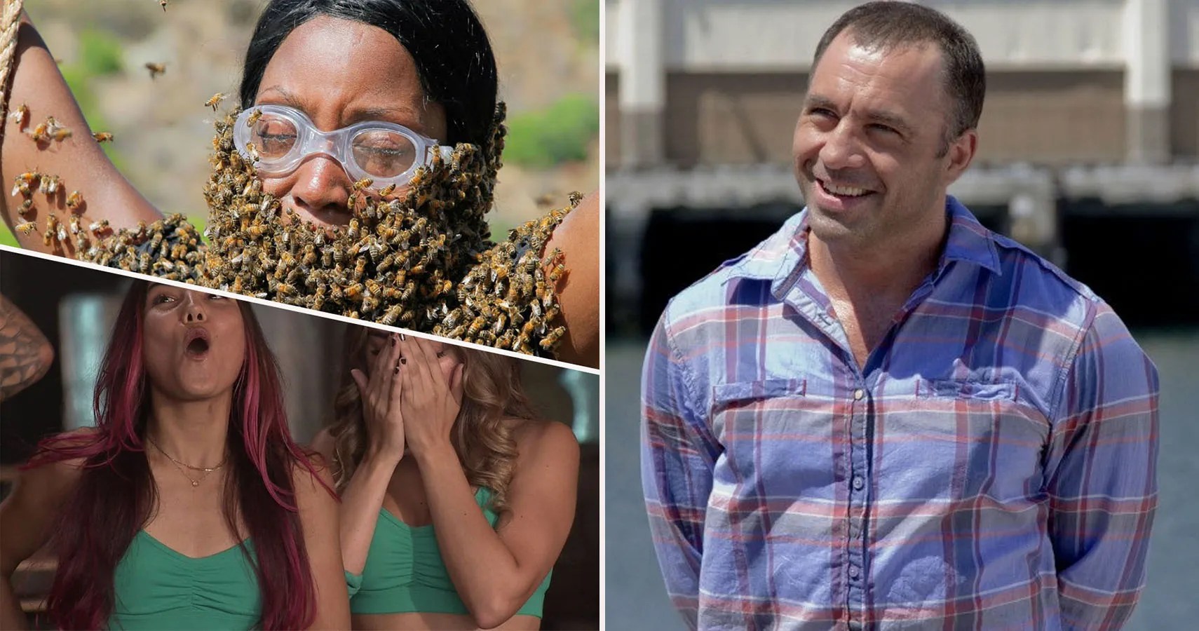 Fear Factor 15 Crazy Rules All The Contestants Needed To Follow