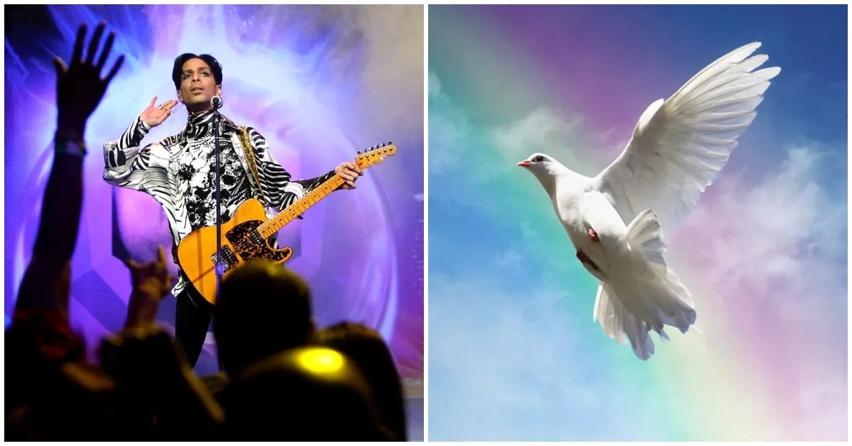 Prince Had A Long History With Doves, And Here's Why TheThings