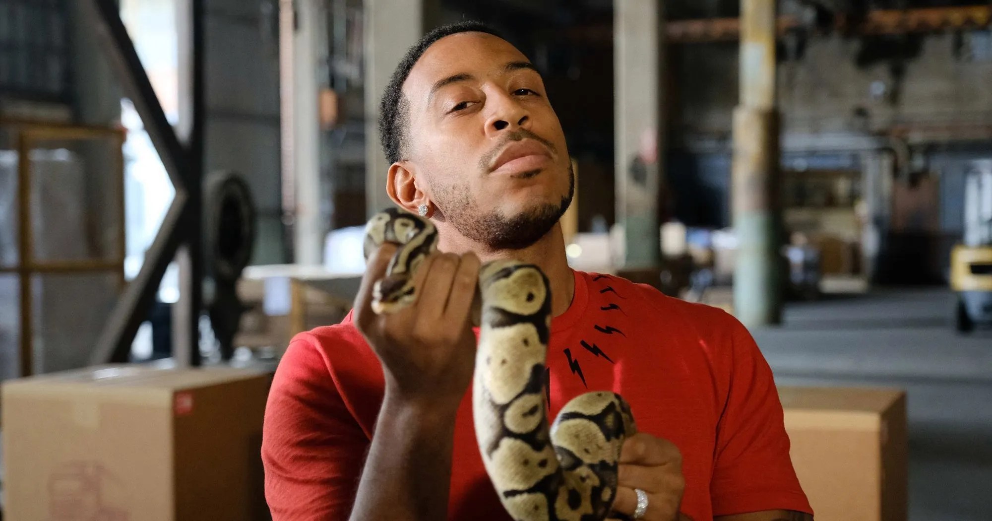 10 Celebs You Competed On 'Fear Factor' TheThings