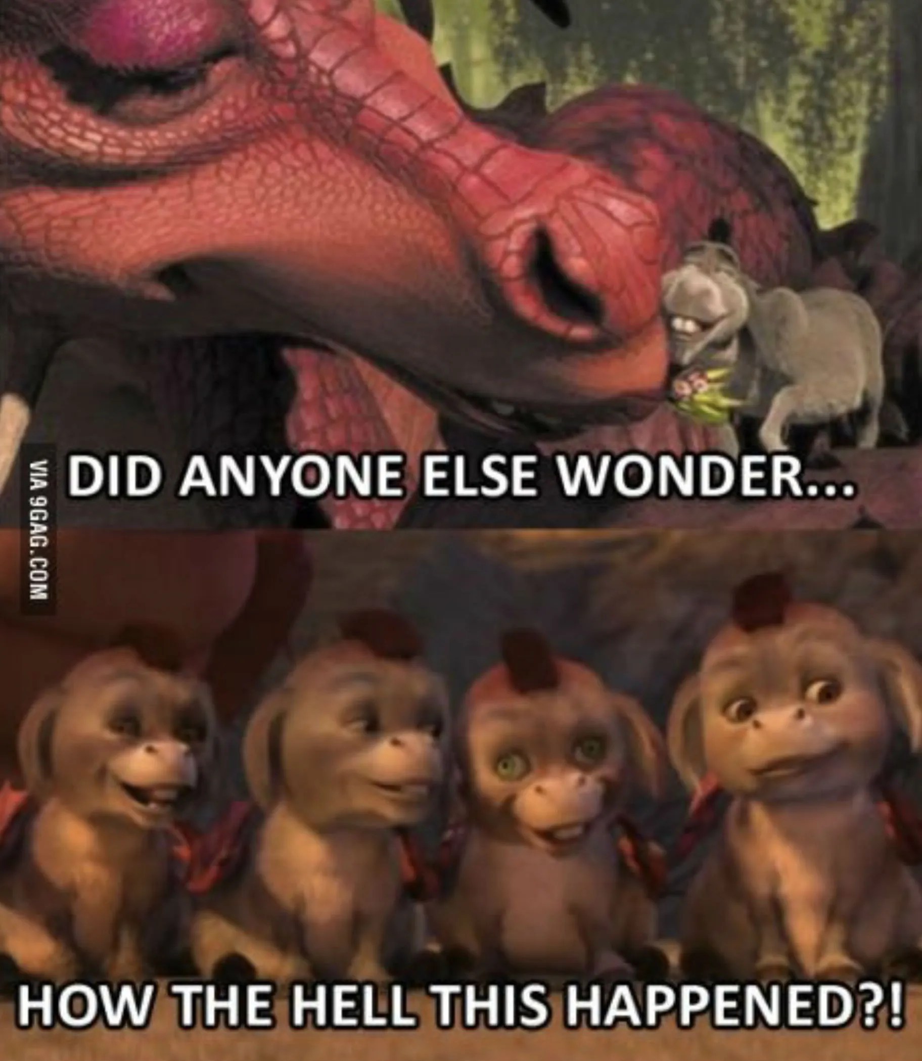 DreamWorks Memes That Is Going To Make You Question Everything!