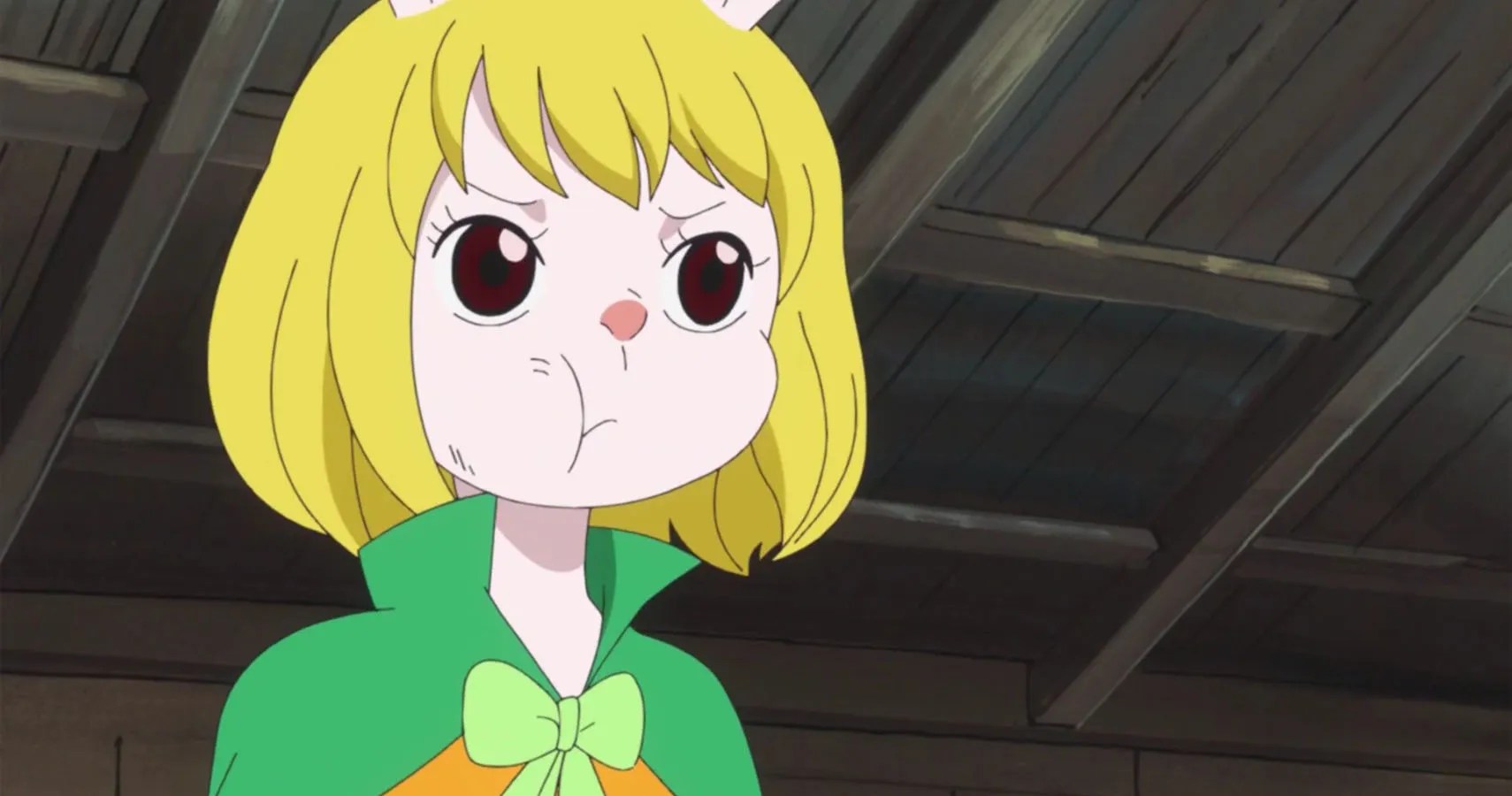 One Piece 10 Things You Need To Know About Carrot CBR