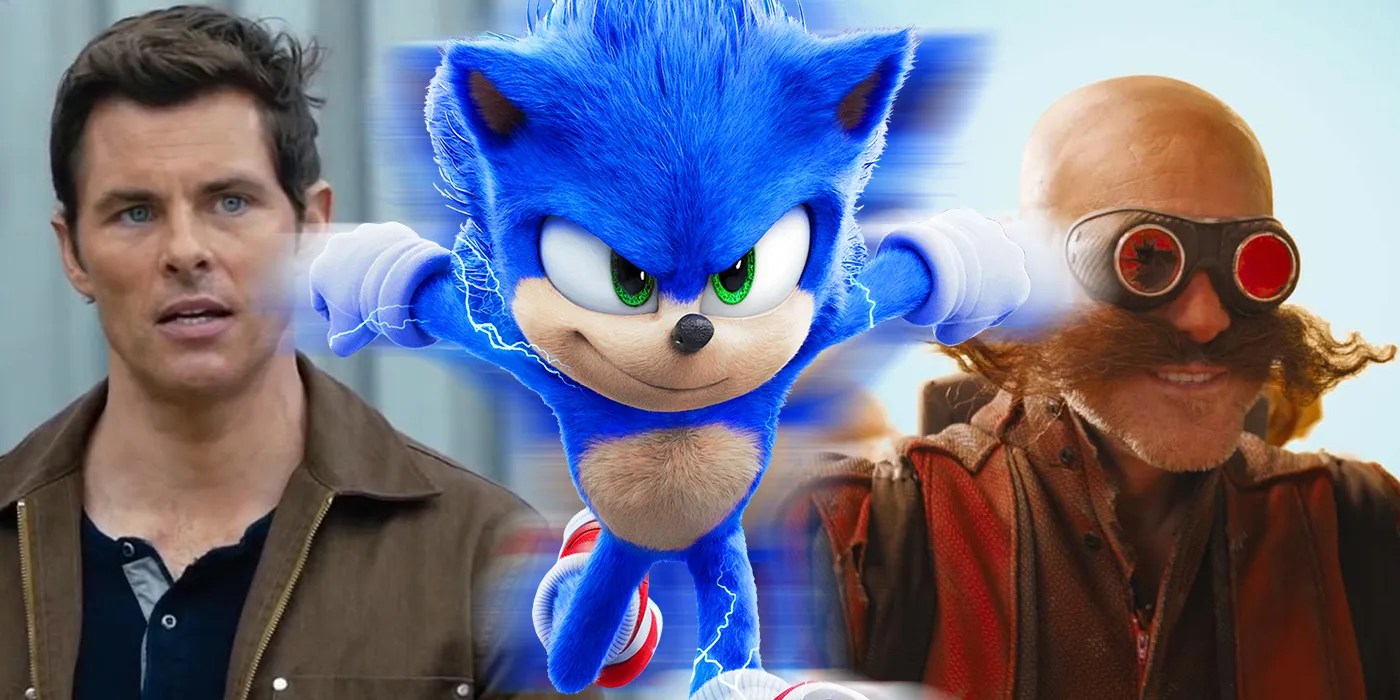 The Sonic the Hedgehog Movie United Fandom With a FeelGood Trope