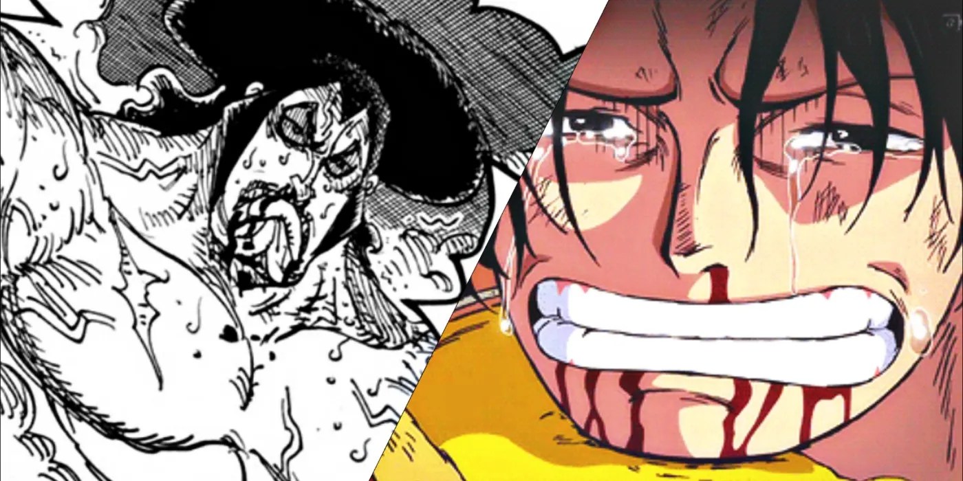 10 Saddest Deaths In One Piece, Ranked CBR