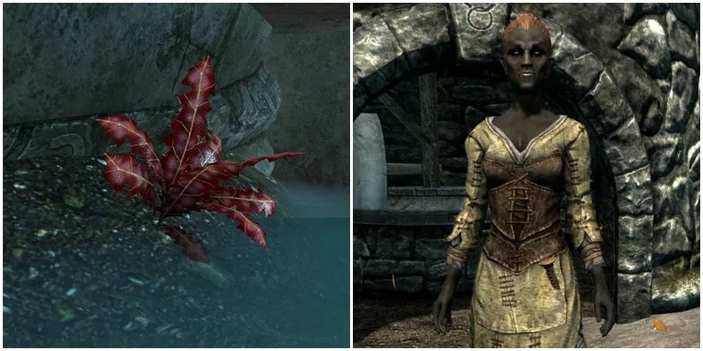 The 10 Most Frustrating Side Quests In Skyrim Game Rant