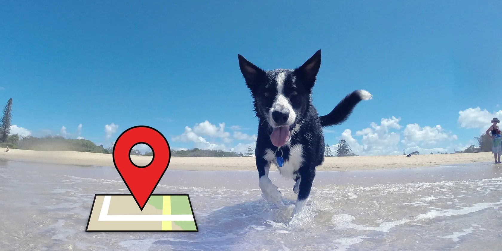 How to Track Your Pets Using iOS or Android MakeUseOf