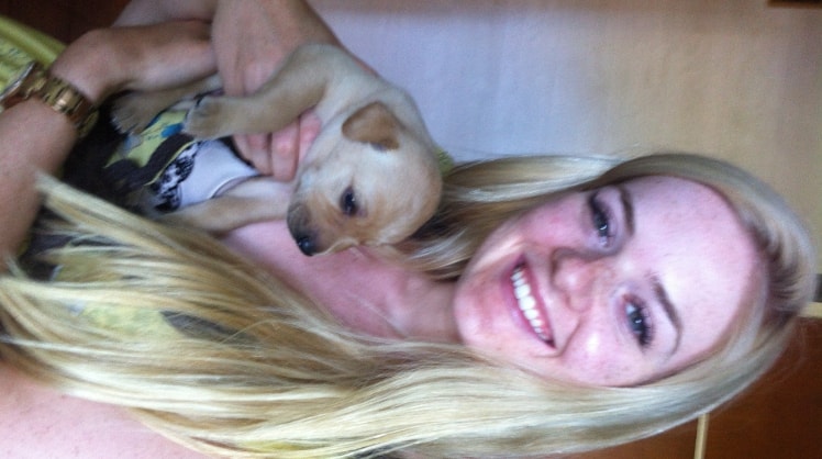 Heidi Pet sitter in Norfolk Pawshake.co.uk