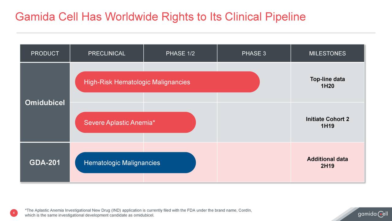 Gamida Cell (GMDA) Investor Presentation Slideshow (NASDAQGMDA