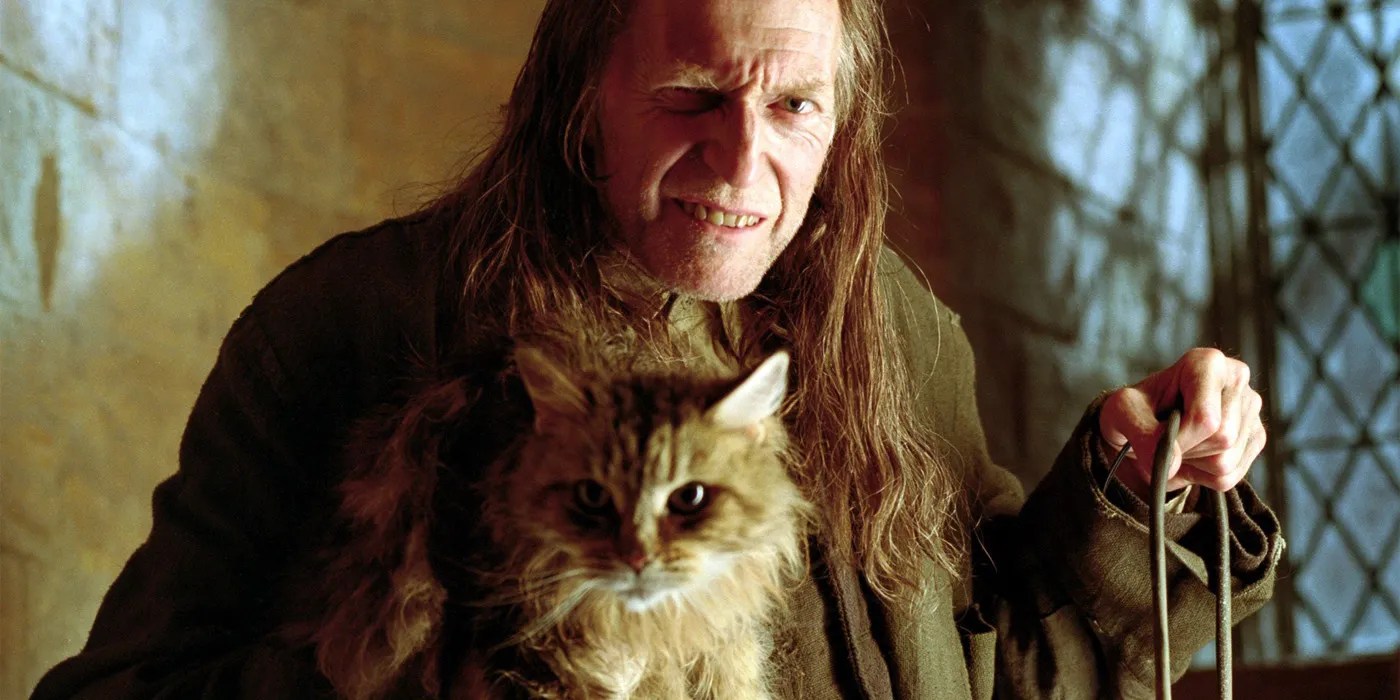 Harry Potter 15 Things You Never Knew About Filch (And