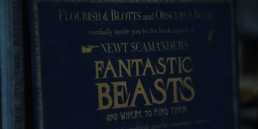 10 LittleKnown Facts About Newt Scamander