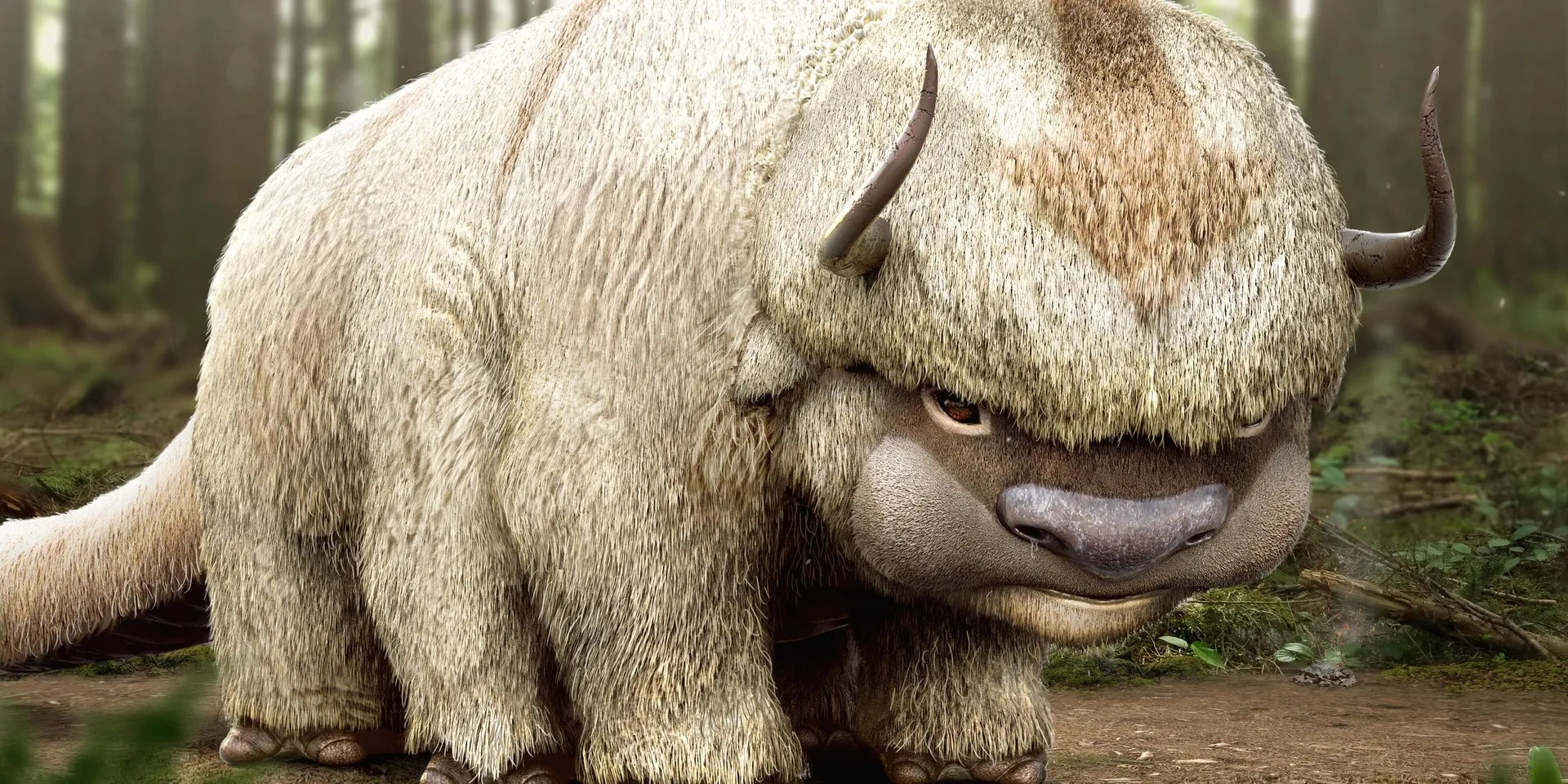 Avatar 10 Things Every Fan Should Know About Appa ScreenRant