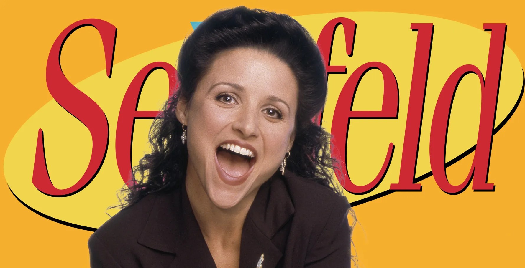 Seinfeld 10 Times We Were All Elaine ScreenRant
