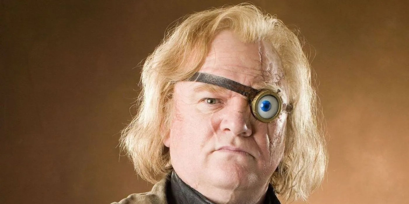 Harry Potter 10 Appearance Changes Between The Book Characters To The