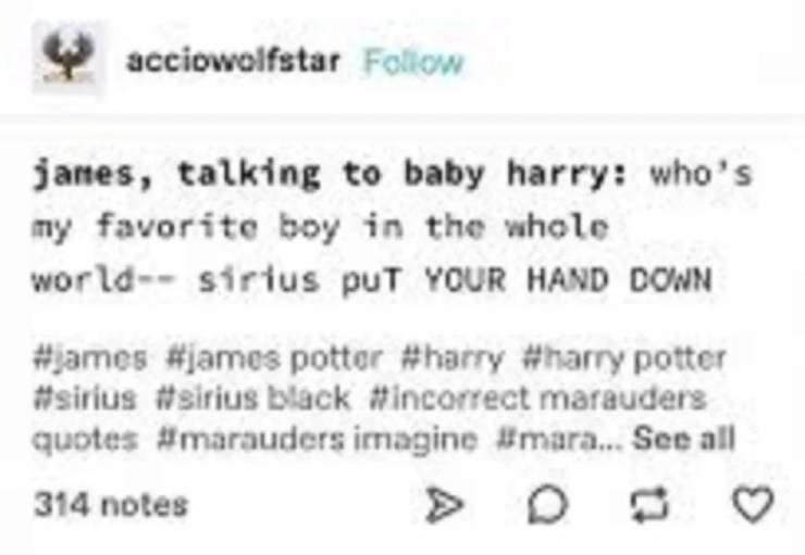 Harry Potter 10 Hilarious Marauders Memes Only True Fans Will