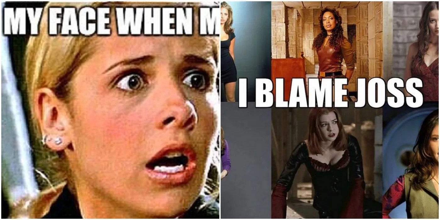 Whedonverse 10 Hilarious Memes That Are Too Funny ScreenRant