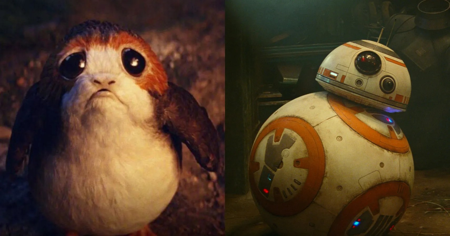 Star Wars 10 Cutest Creatures Introduced In The Sequel Trilogy