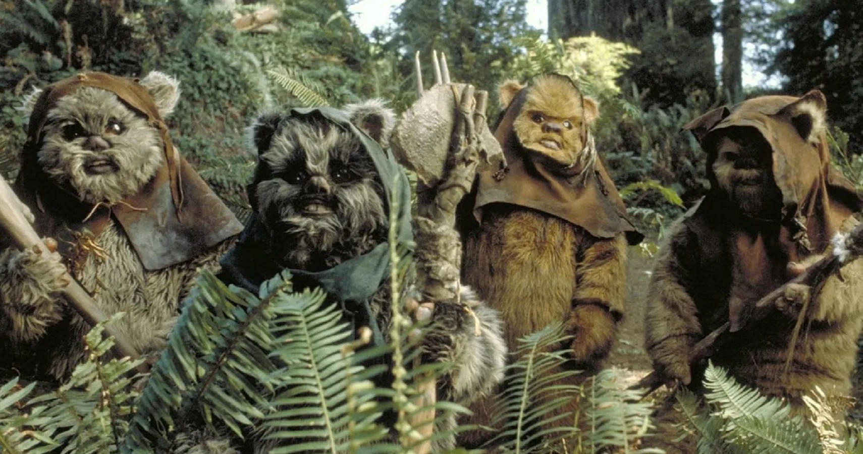 Top 10 Ewoks From The Star Wars Universe ScreenRant