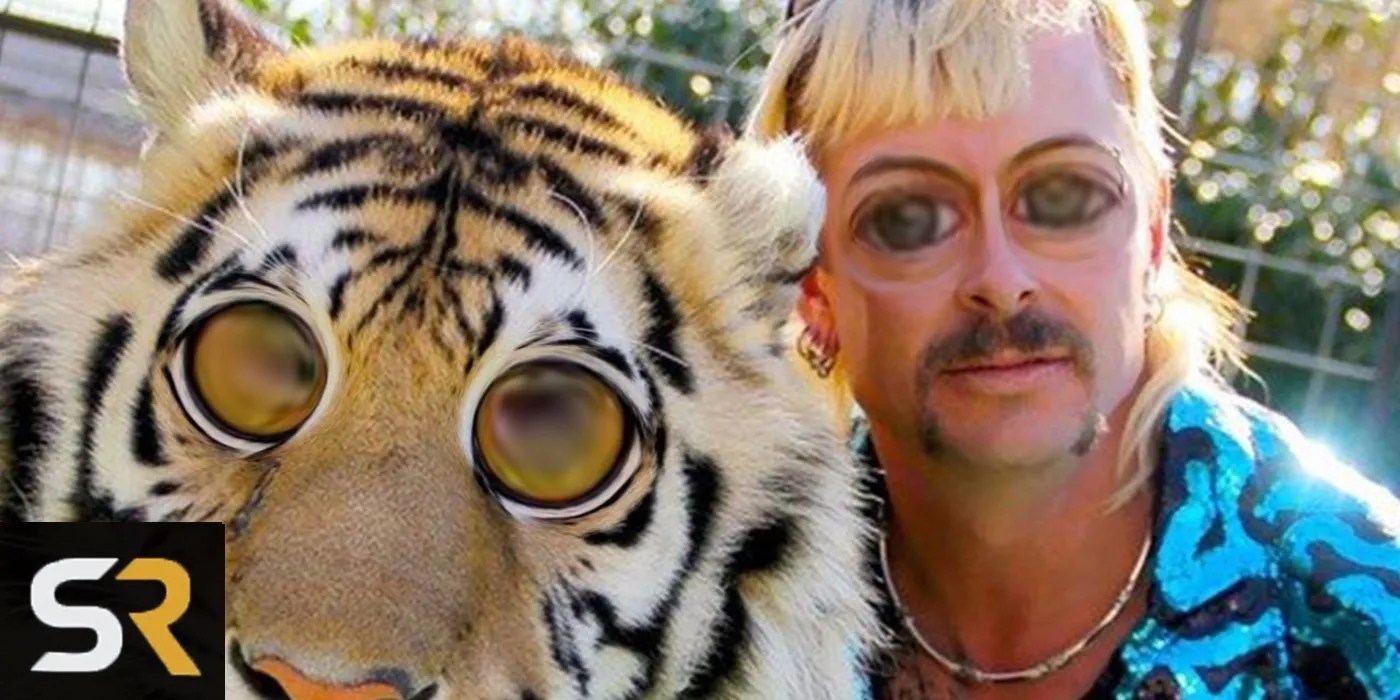 Netflix's Tiger King Pitch Meeting Screen Rant