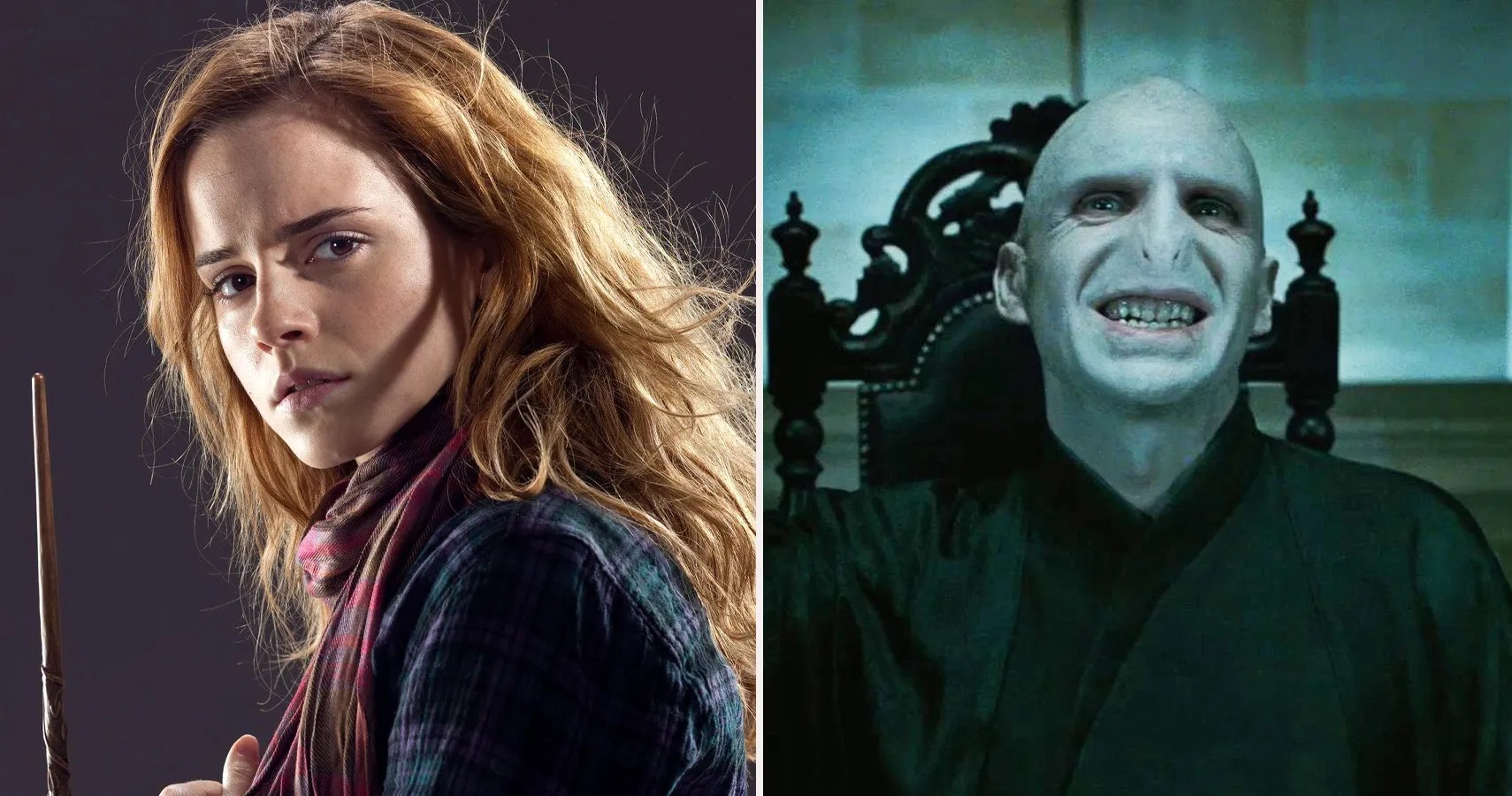 10 Cast Members Fans Want To See On Harry Potter At Home Readings Podcast