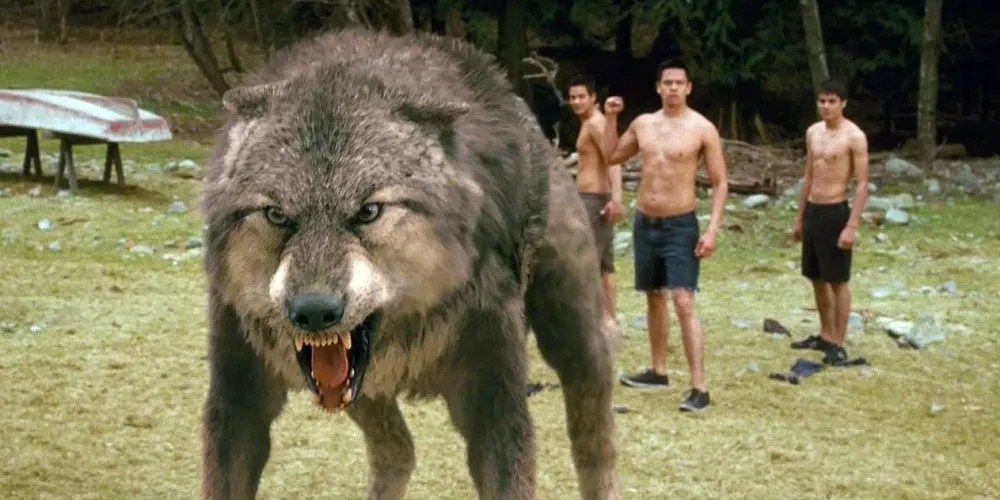 5 Best Movie Werewolves (& 5 Worst)