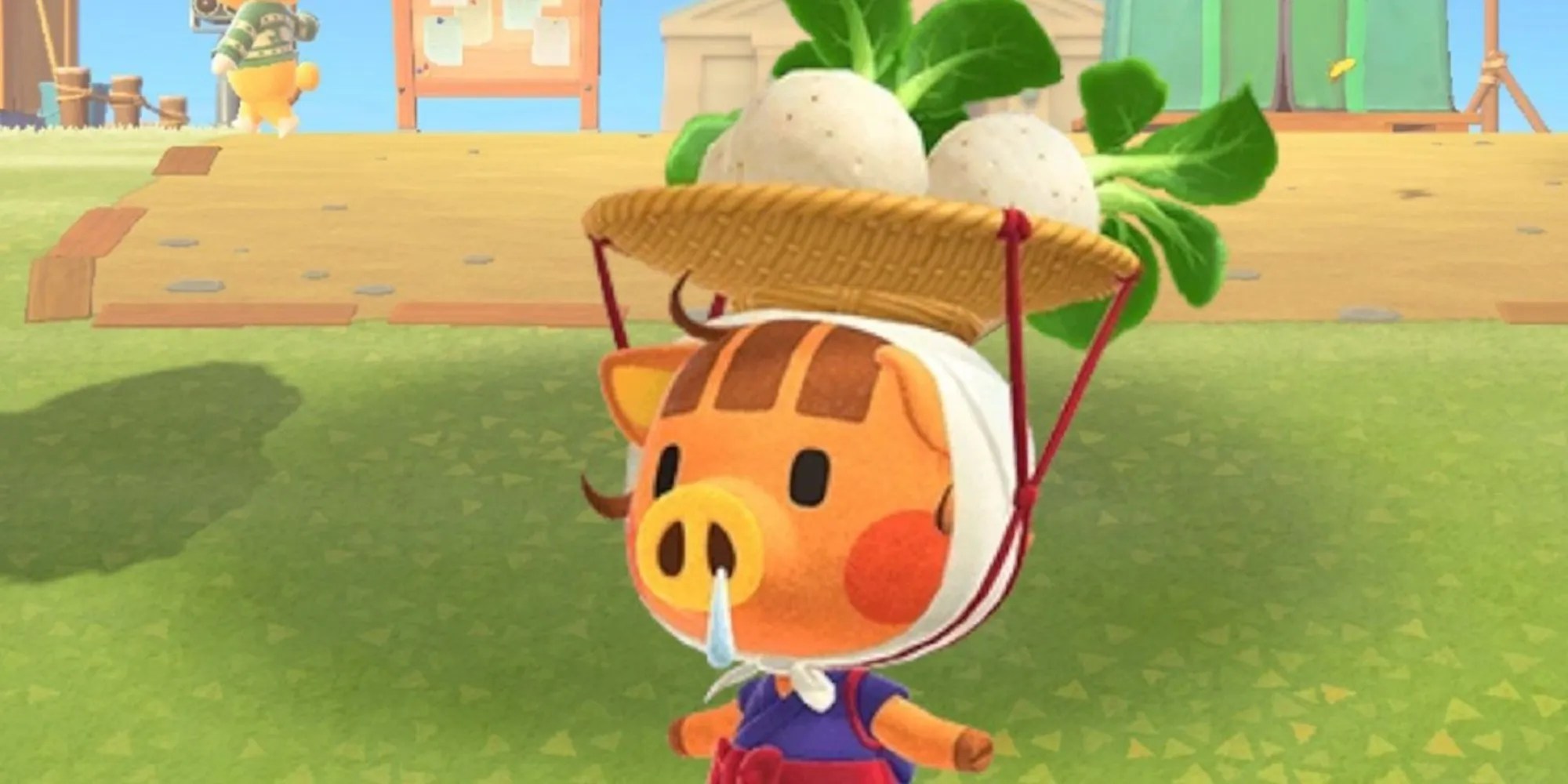 Why Daisy Mae Is So Hard To Find In Animal Crossing Screen Rant