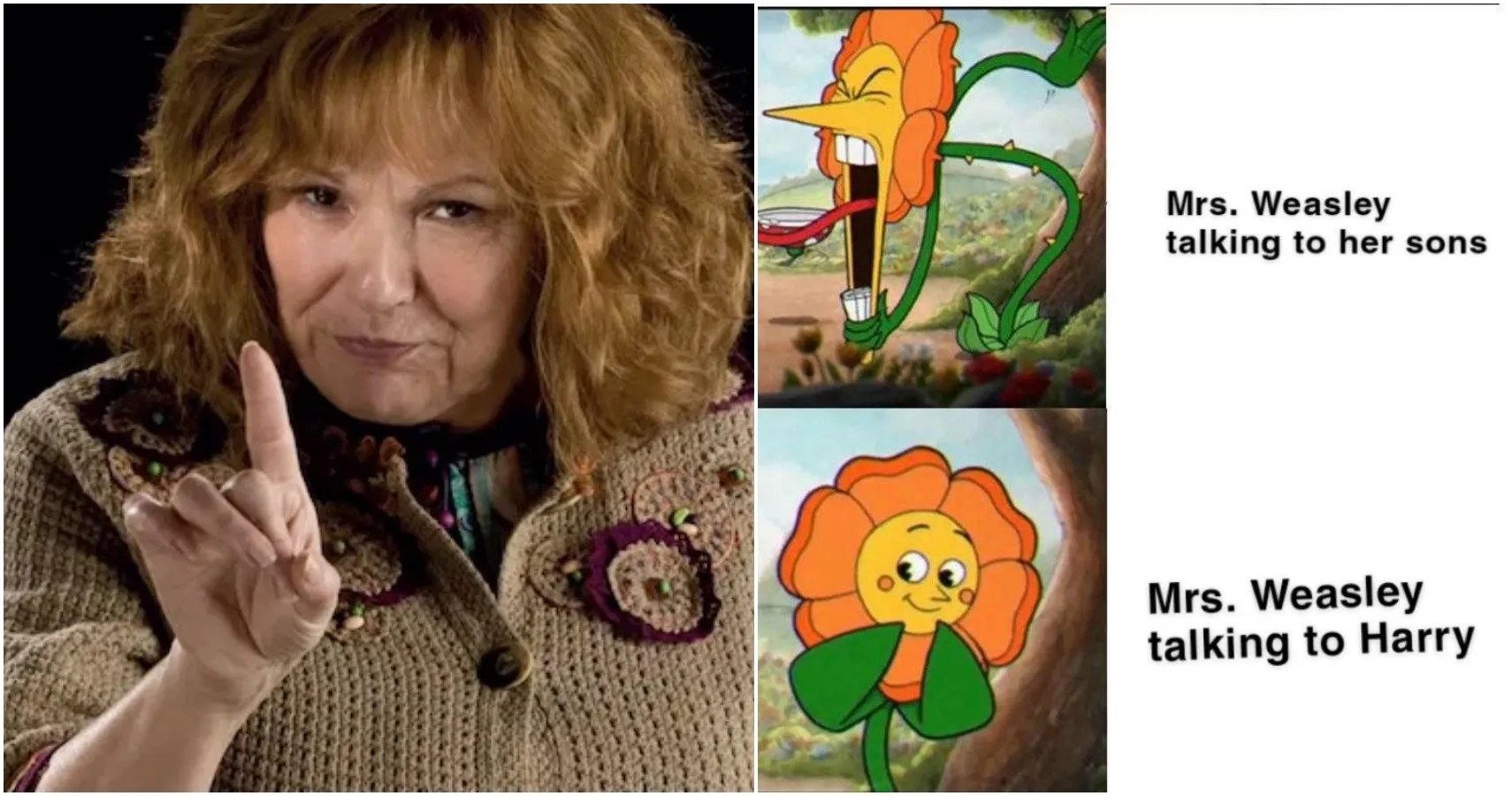 Harry Potter 10 Memes That Prove Mrs. Weasley Was The Best Character