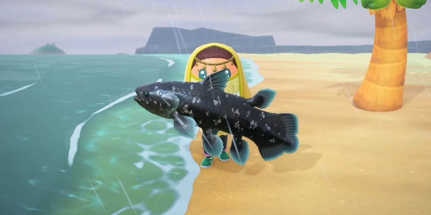 How to Find (& Catch) The Coelacanth in Animal Crossing