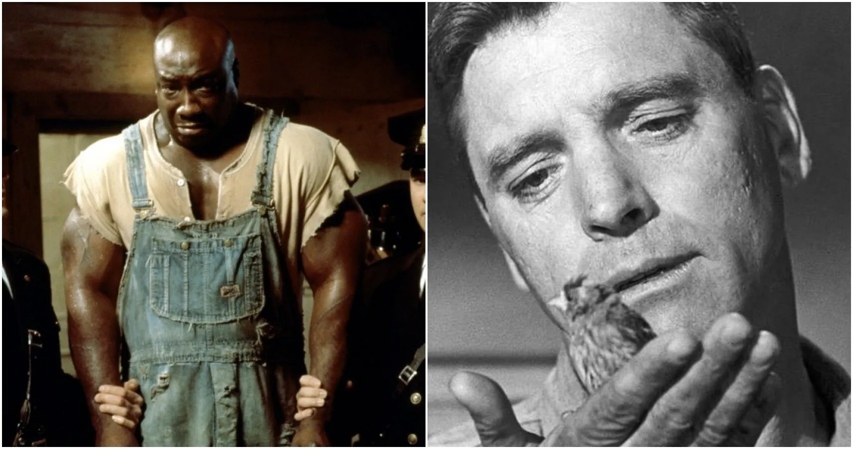 10 Best Prison Movies Ranked (According To IMDb) Wechoiceblogger