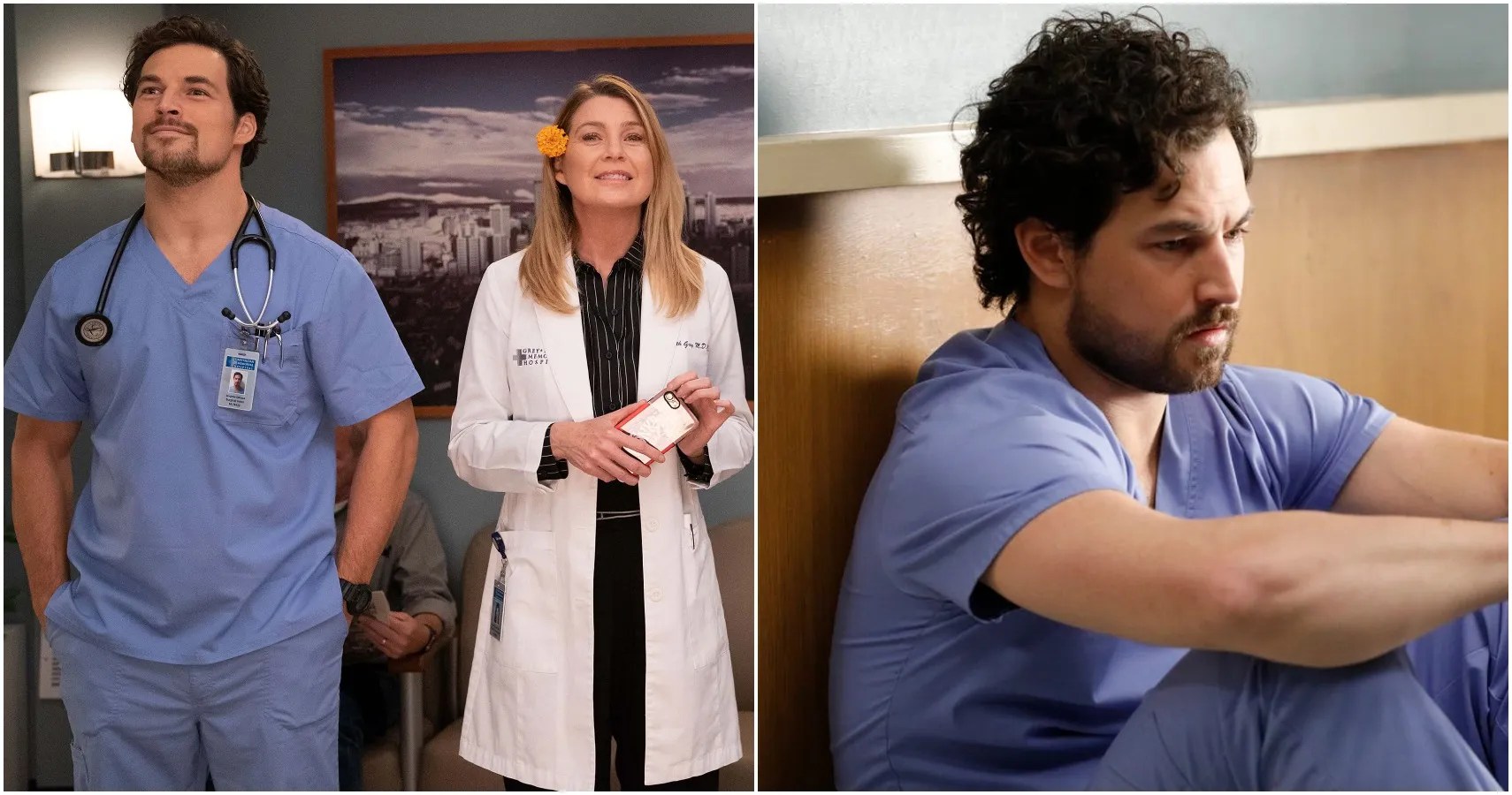 Grey's Anatomy 10 Best DeLuca Moments From The Show ScreenRant