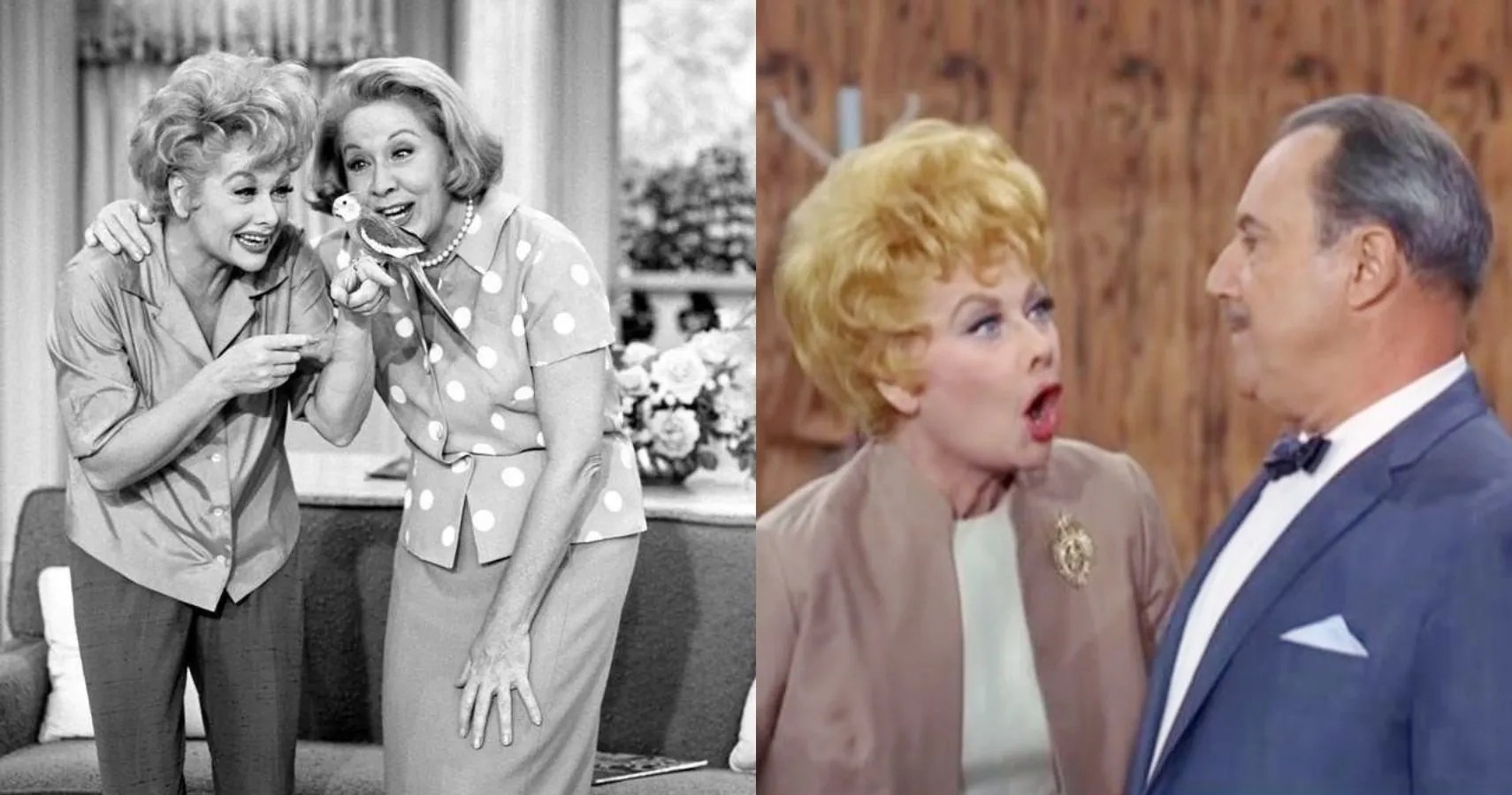The Lucy Show The 10 Best Episodes Of Lucille Ball's