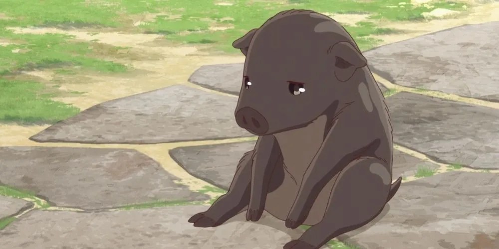 Zodiac Signs Of Fruits Basket Characters ScreenRant LaptrinhX