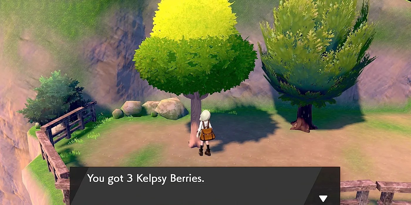 Pokémon Every Berry In The Entire Pokémon Series, Explained