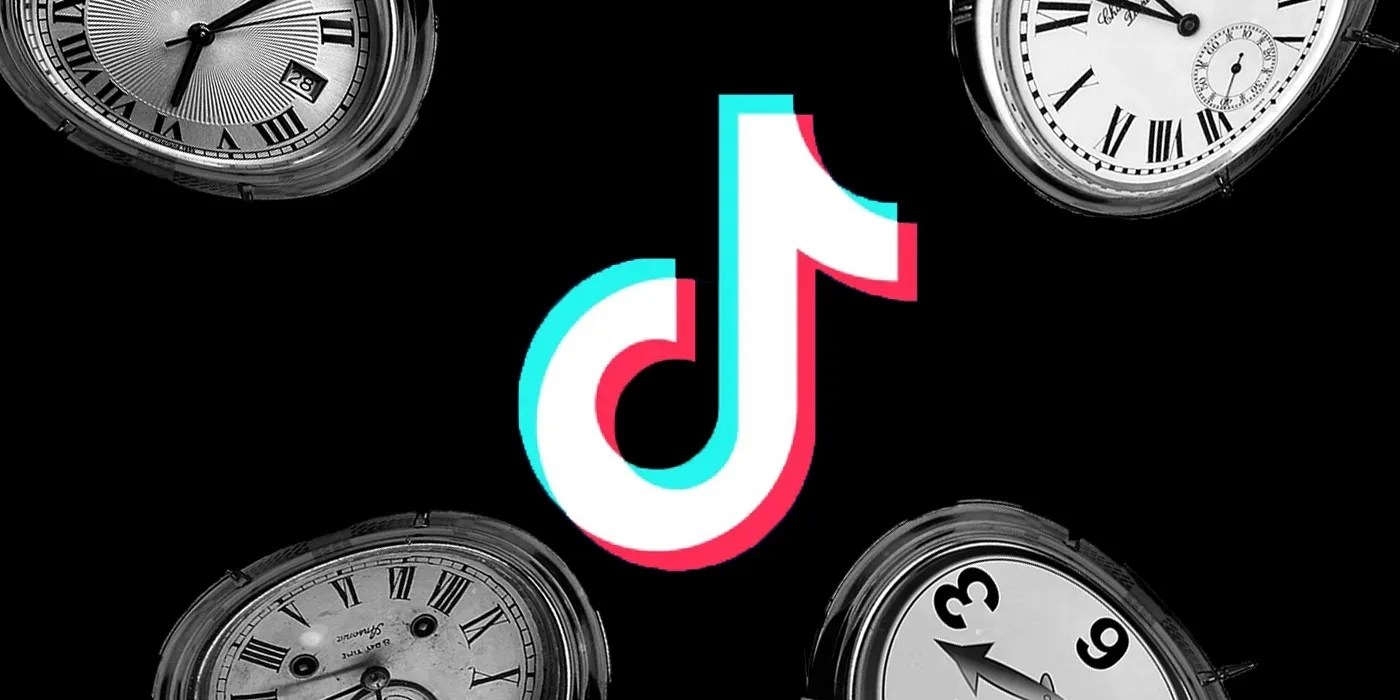 TikTok Time Traveler Viral Lone Survivor Video Channel Explained