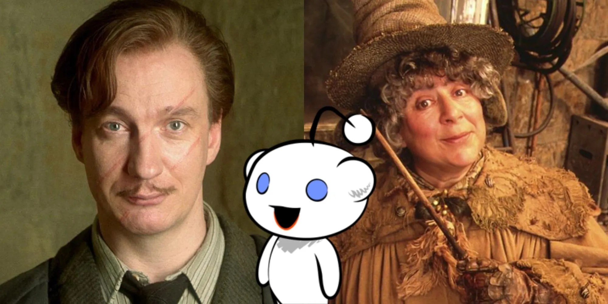 10 Best Hogwarts Professors, Ranked According To Reddit