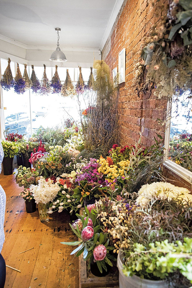 Alannah Lockyer Are Dried Flowers Bad For Cats / List Of Non Toxic