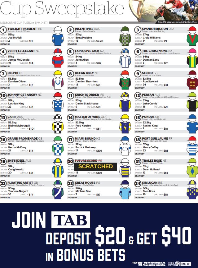 Melbourne Cup 2021 Sweepstake form for download and printing Stuff.co.nz