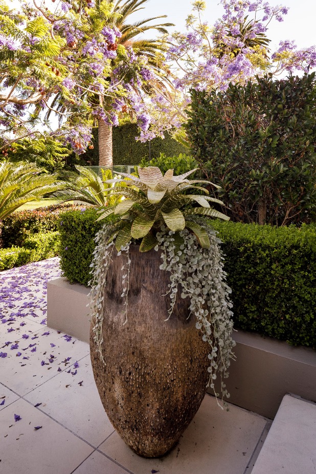 Top garden award 'tinged with sadness' Stuff.co.nz