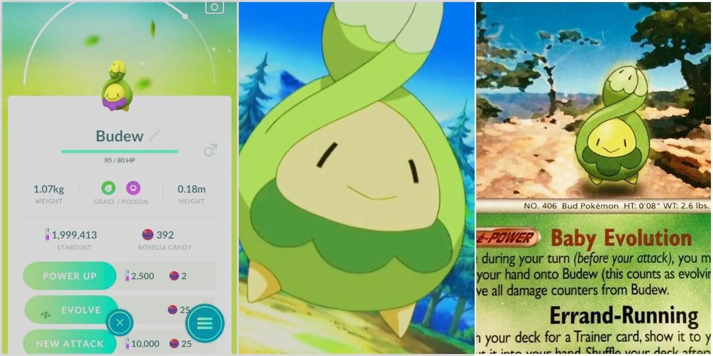 How To Evolve Budew (& 13 Other Facts About The Pokemon)