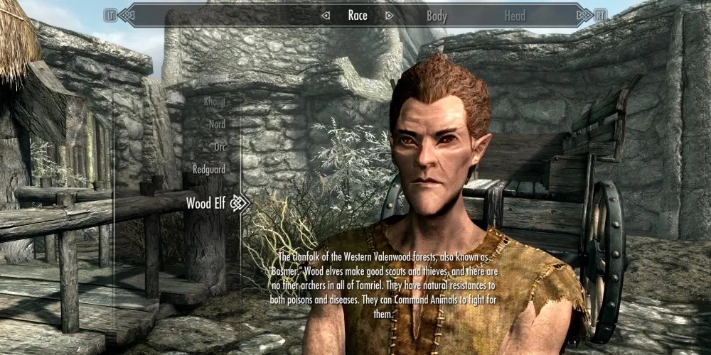 Skyrim Stealth Archer Build Guide