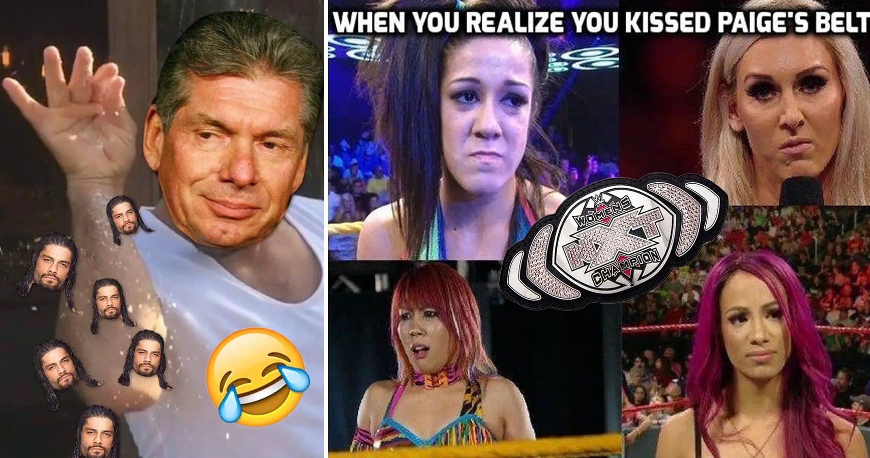 Hilarious WWE Memes Only True Fans Will Understand TheSportster