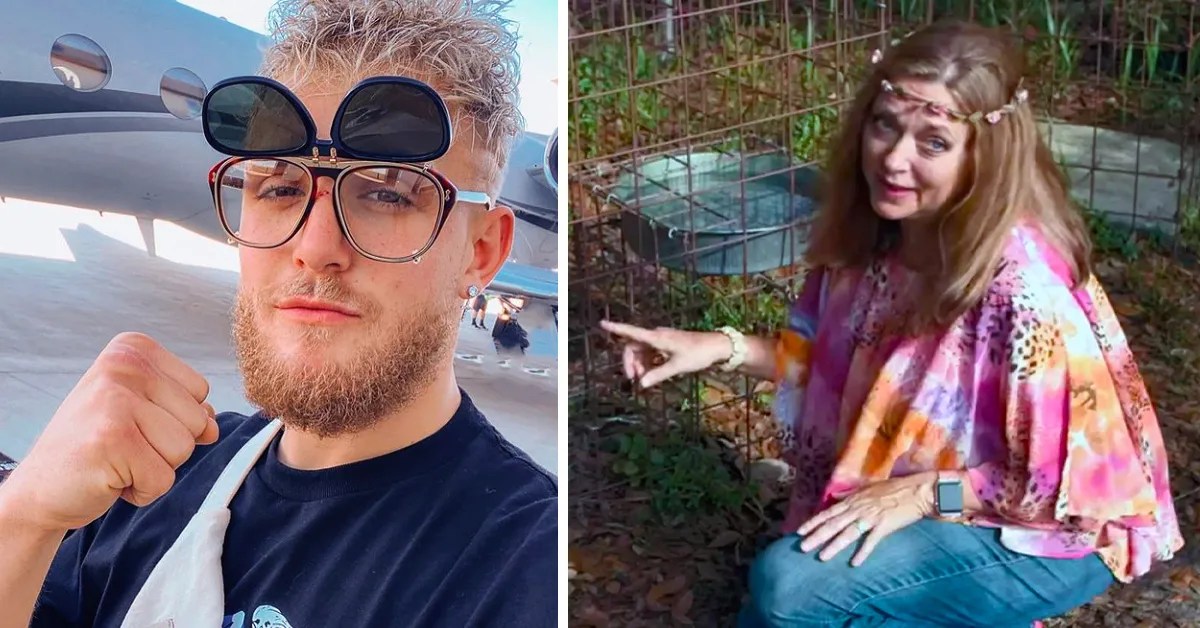 Jake Paul Tiger Costume / Jake Paul Hit With Copyright Infringement