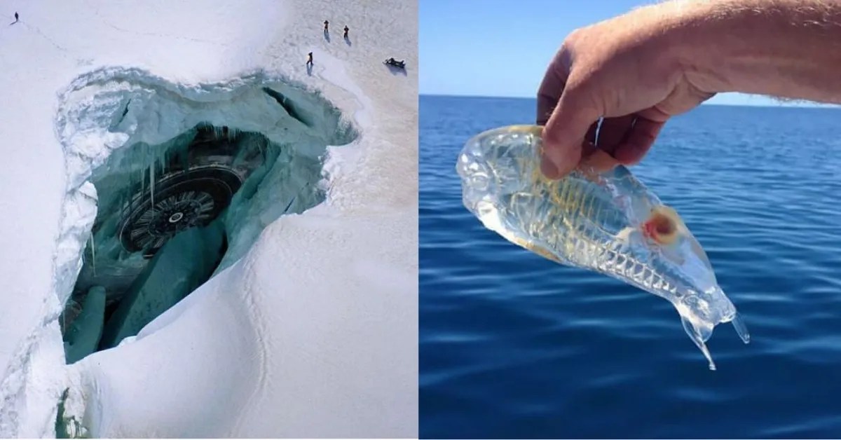 9 Of The Strangest Things Discovered In The North Pole (11 In The South