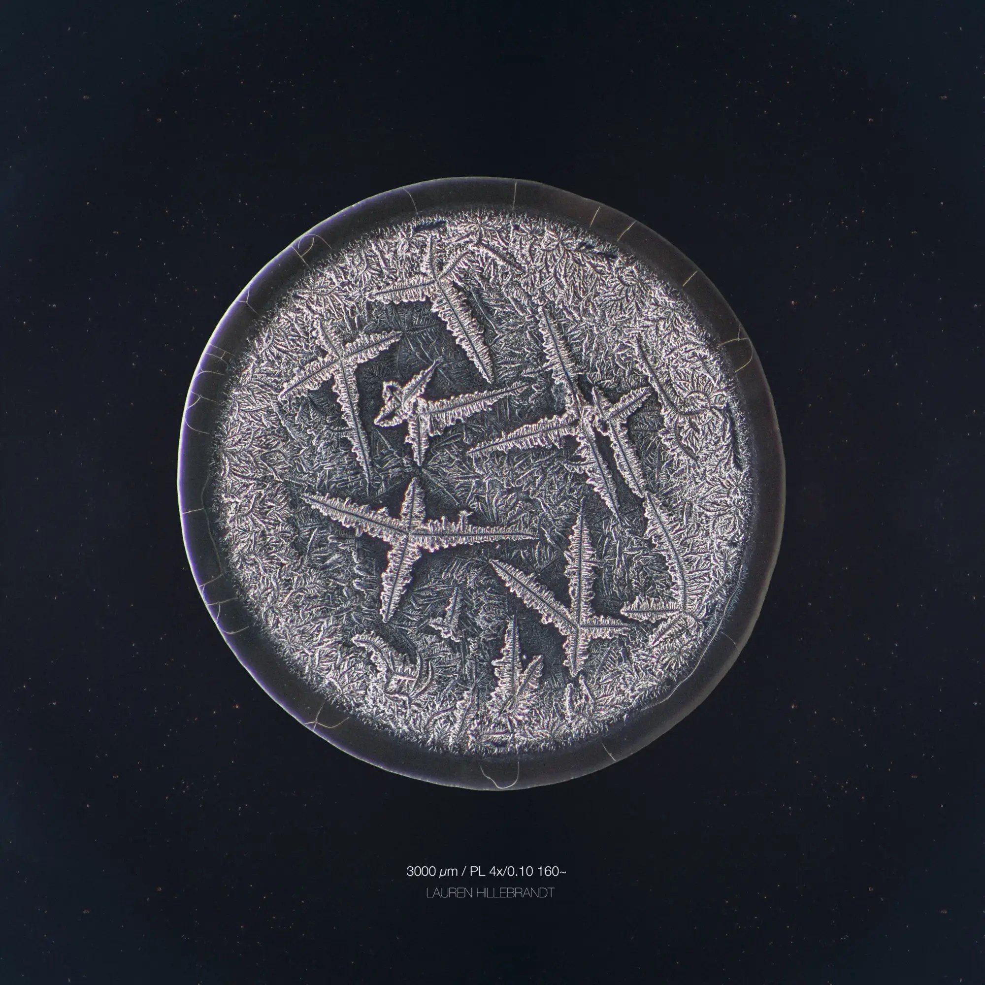 What tears look like under a microscope Business Insider