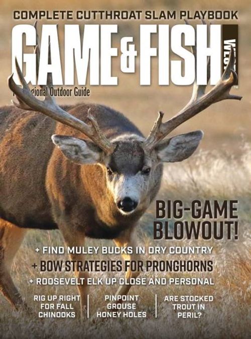 Magazine Discount Center