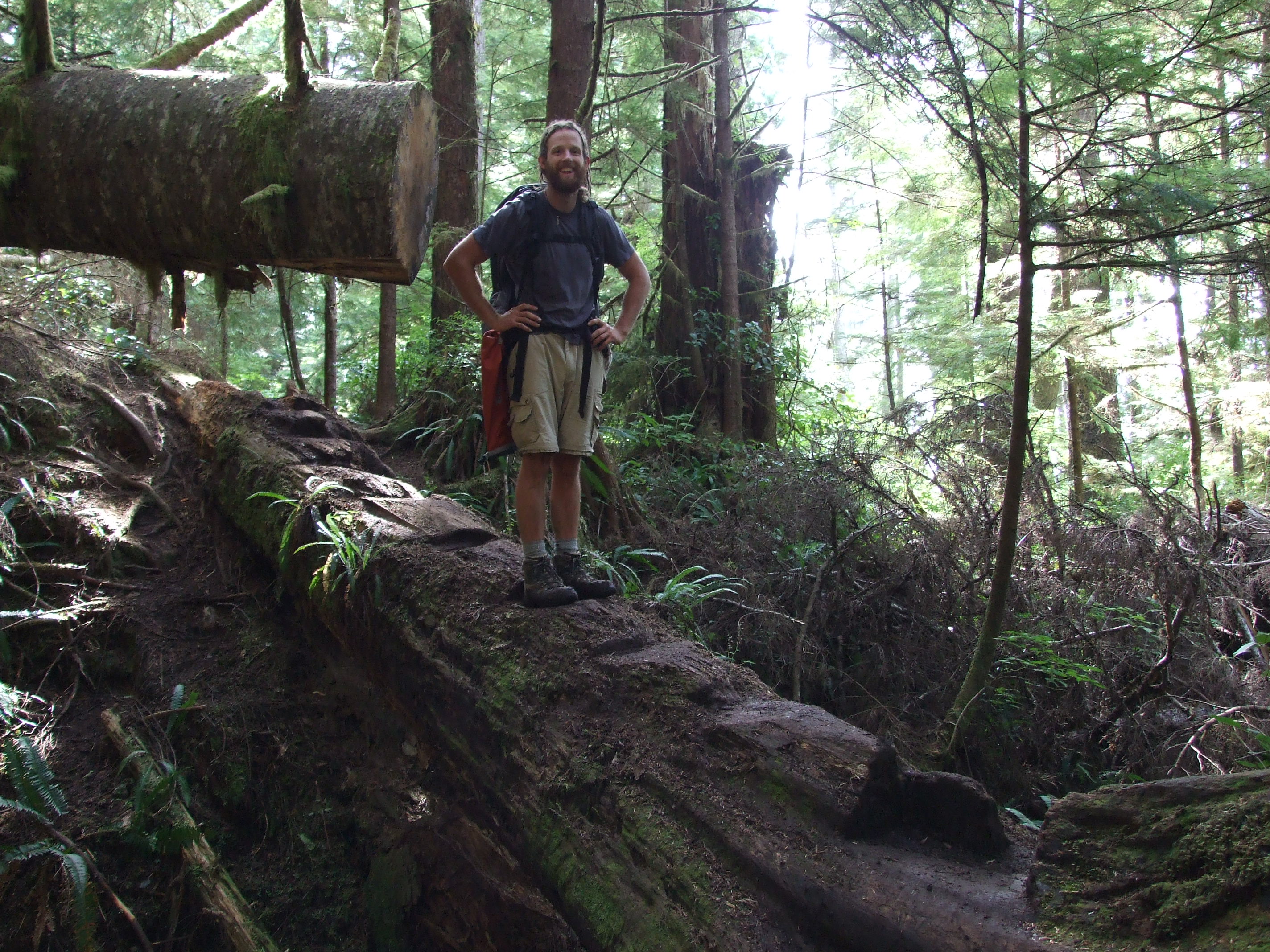 dan_trail The Road Chose Me