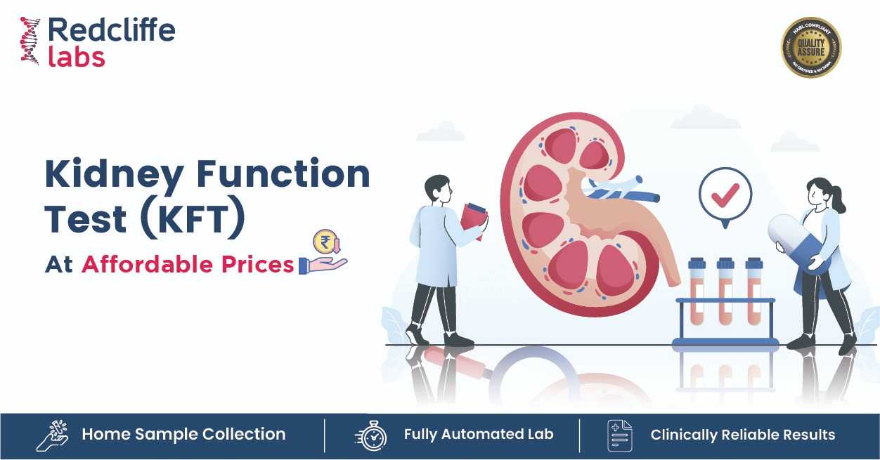 Kidney Function Test (KFT) in Santacruz, Mumbai 349 Redcliffe Labs