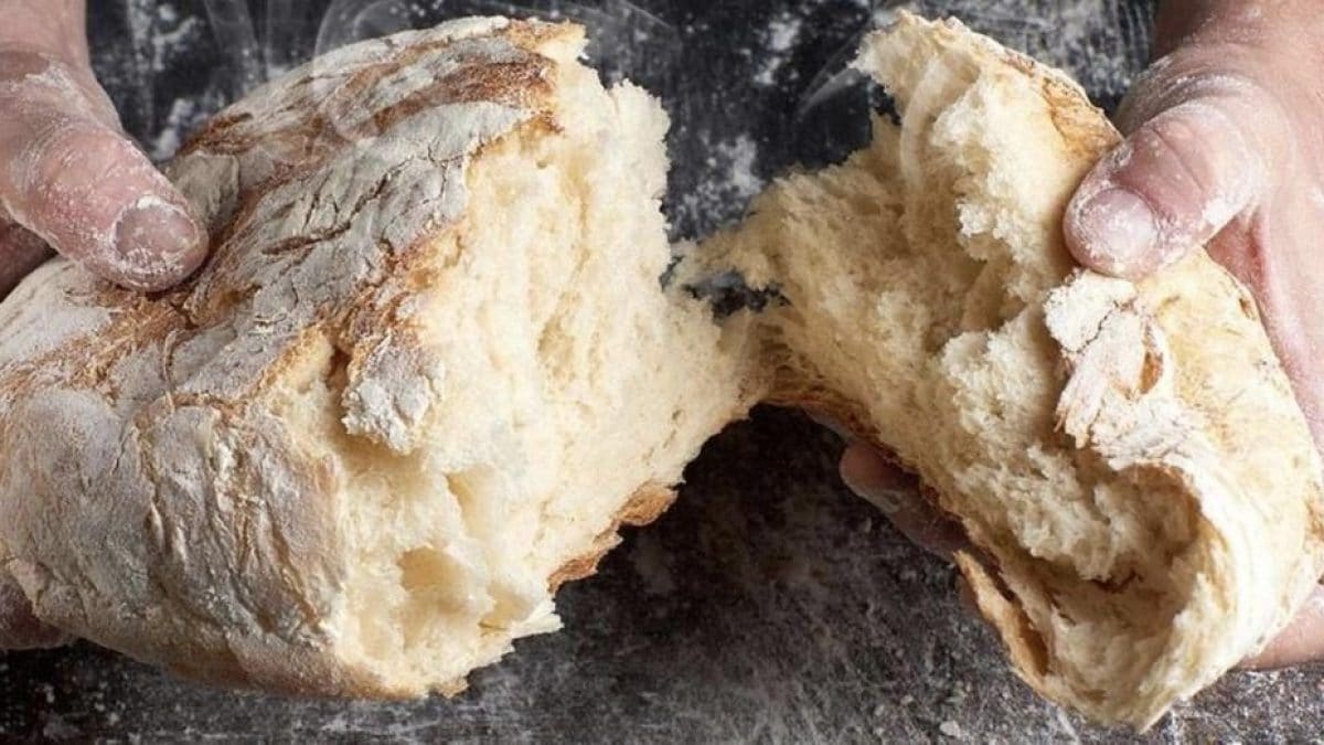 8 things that happen to your body after giving up bread