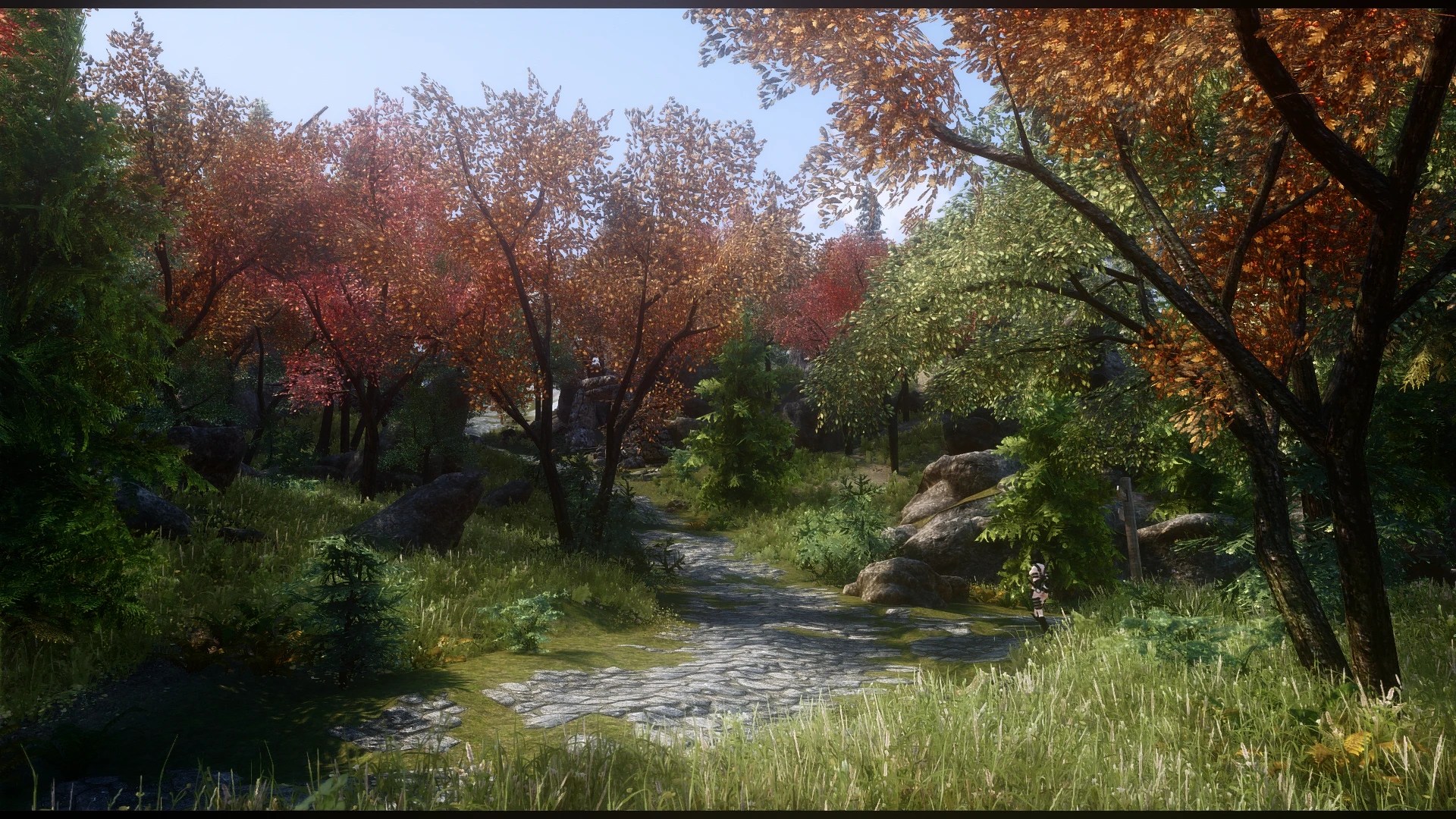 Road at Skyrim Special Edition Nexus Mods and Community