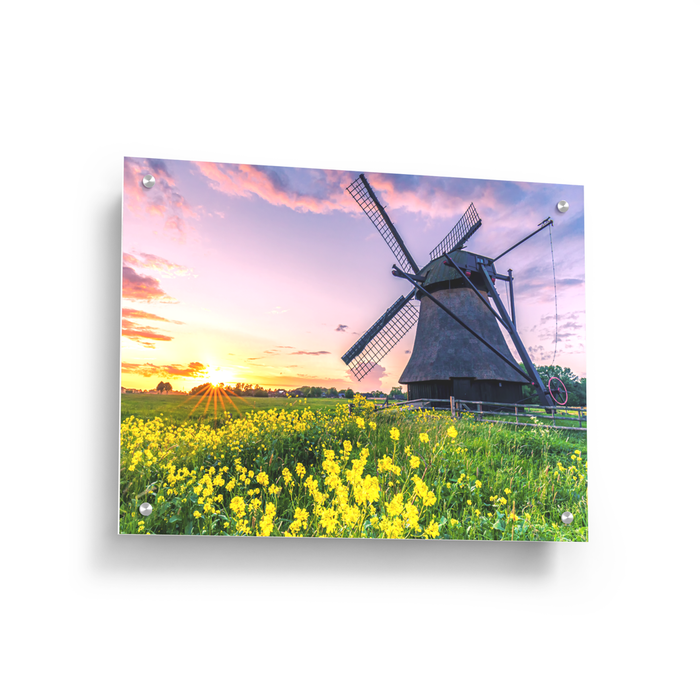 Acrylic Prints Custom Acrylic Photo Prints 48HourPrint