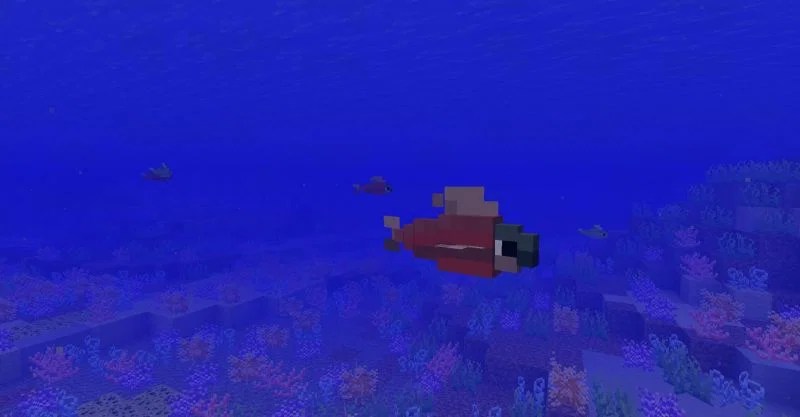 Squid vs Fish in Minecraft How different are the mobs?